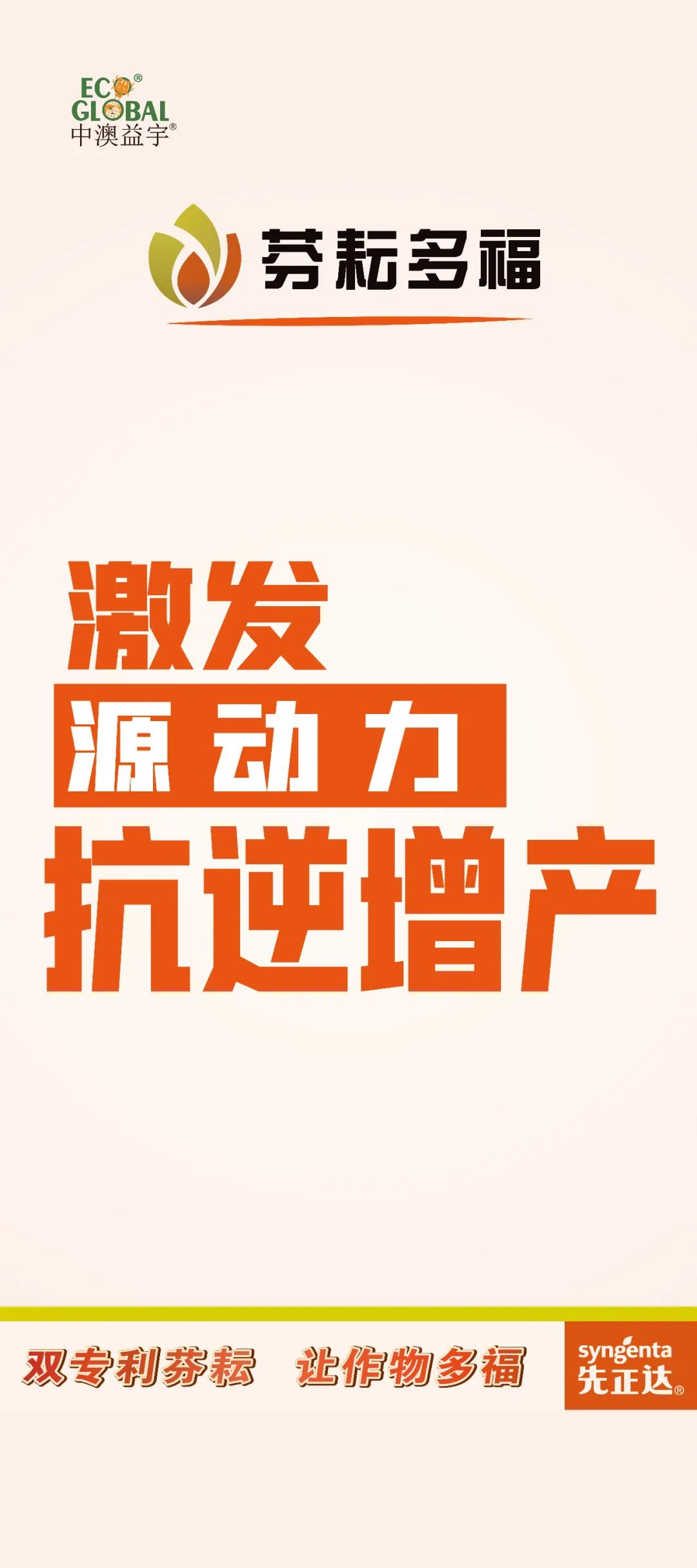 10.jpg 10.jpg