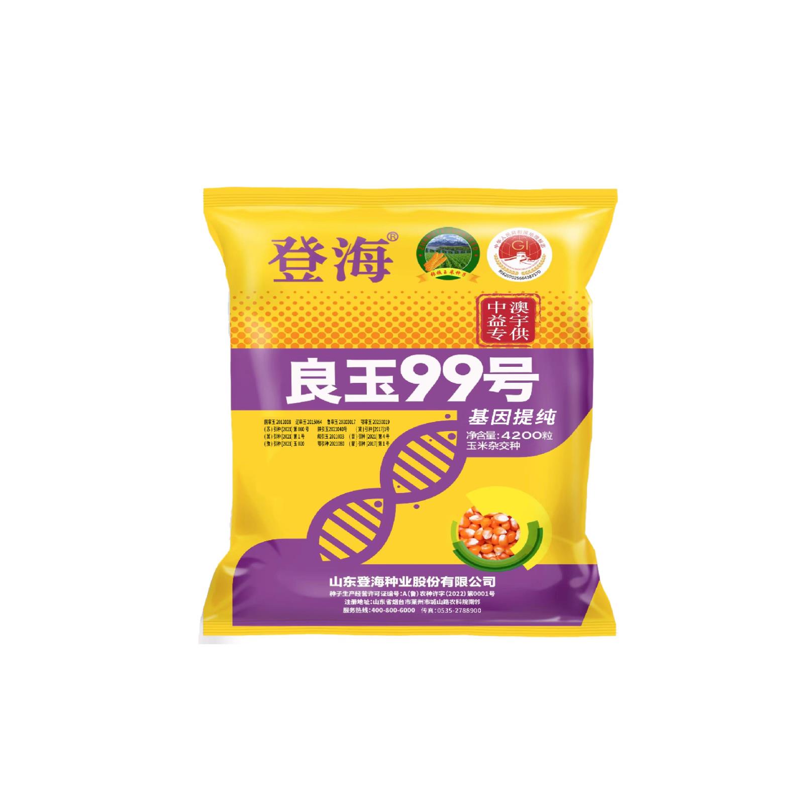 良玉99号 ▏良玉99 丰收久久