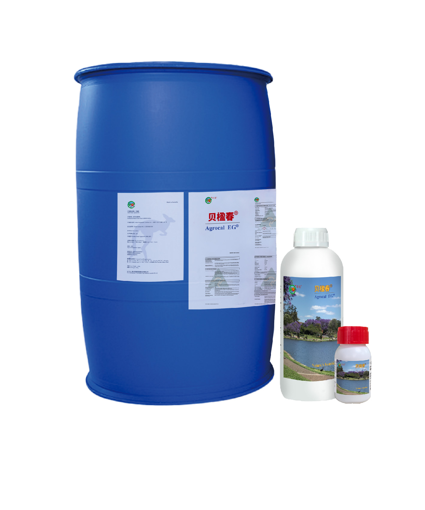 贝楹春_画板 1.jpg