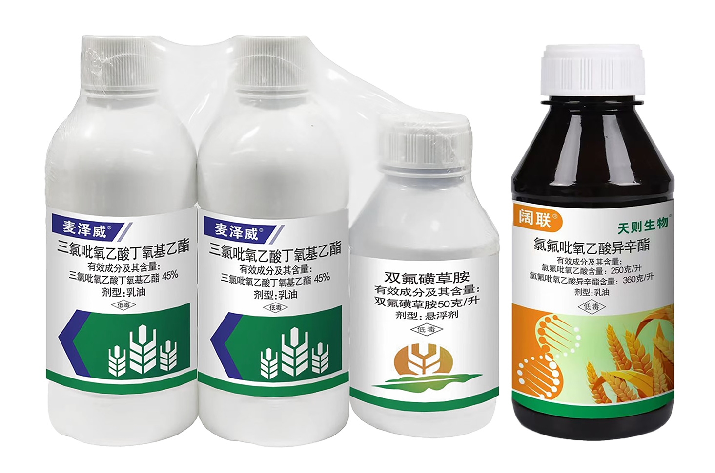 荃速优盛效果图.png 荃速优盛效果图.png