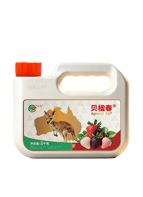 贝楹春® | 源自澳洲 — 植物的又一个太阳